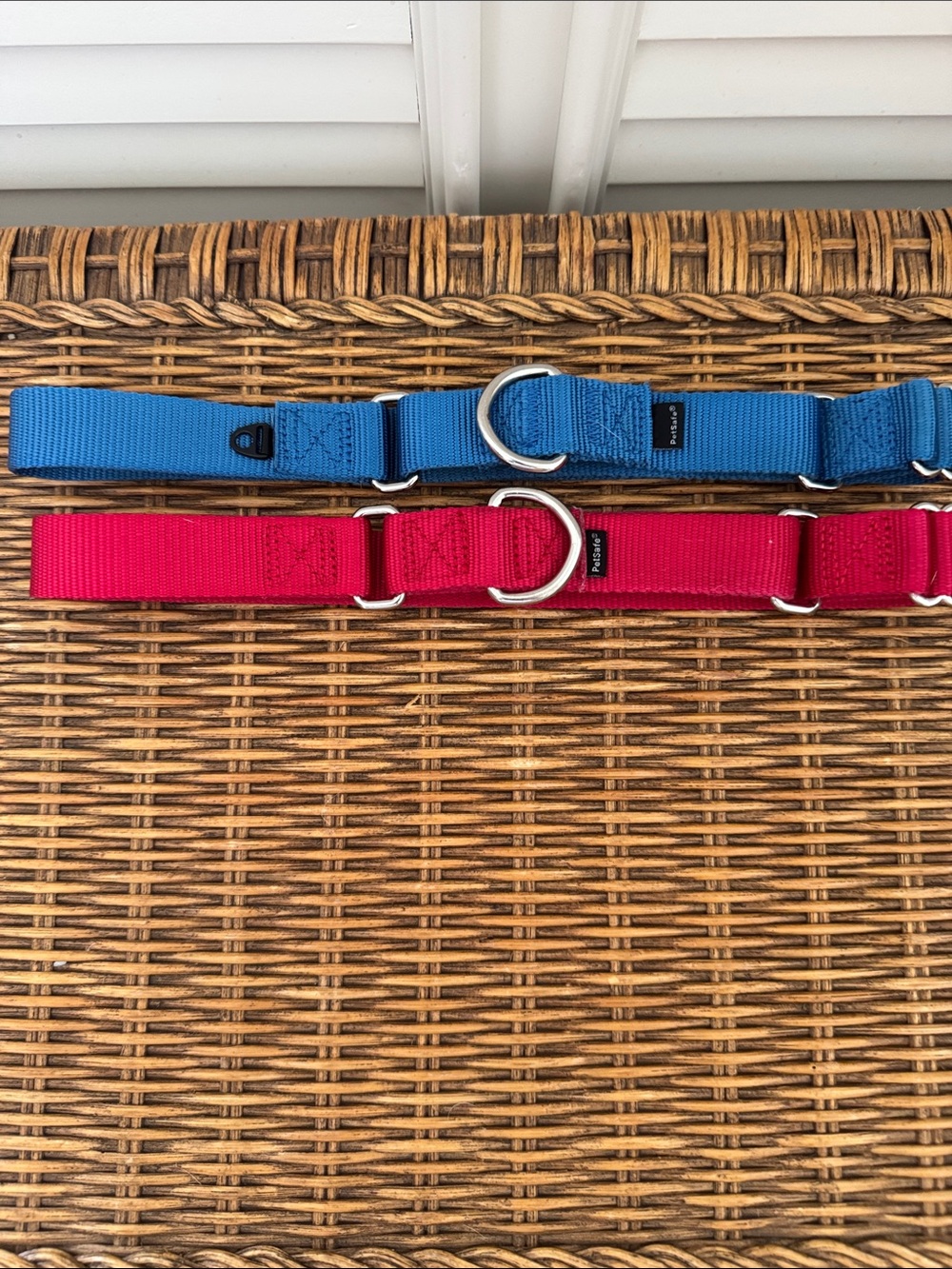 Petsafe Martingale Collars - Set of 2